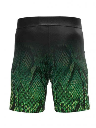 Bjj Sublimated MMA Shorts