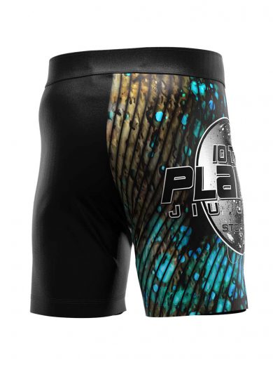 Bjj Sublimated MMA Shorts