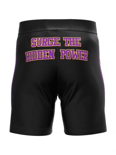 Bjj Sublimated MMA Shorts