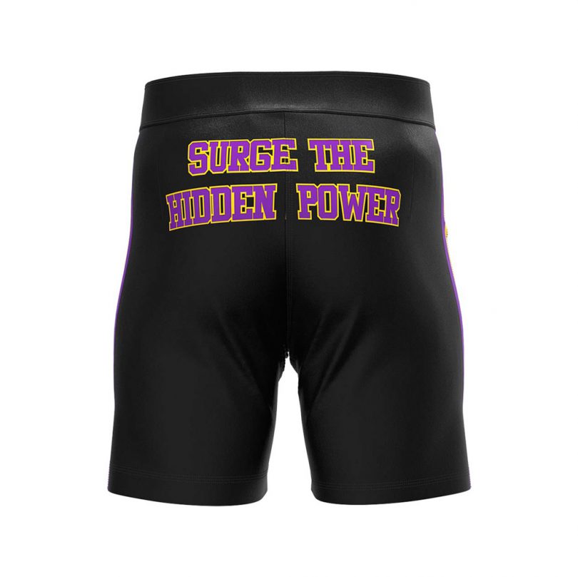 Bjj Sublimated MMA Shorts