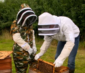 beekeeping suites