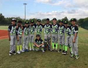 baseball customer gallery