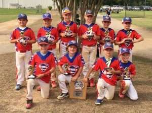 baseball customer gallery