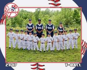 baseball customer gallery